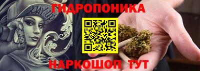 apvp Моздок