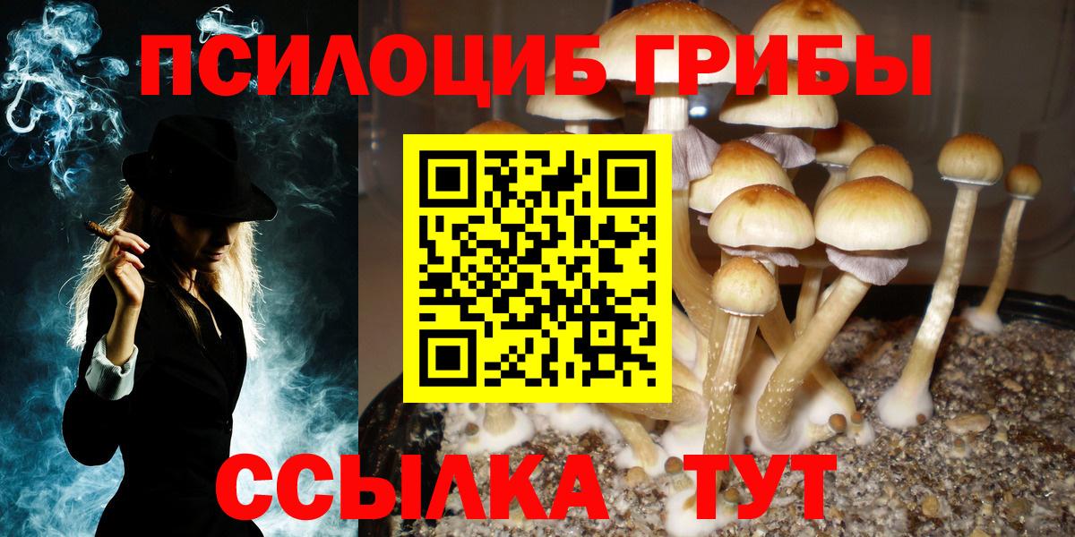 Среднеуральск  Галлюциногенные грибы Psilocybe  Галлюциногенные грибы Psilocybine cubensis  Вход с VPN 